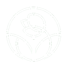 https://everb.info/wp-content/uploads/2019/08/white_rose.png